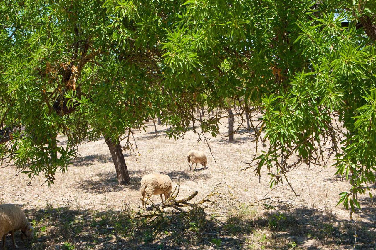 S'Hort De Son Caulelles - Adults Only Villa Marratxí Exteriör bild