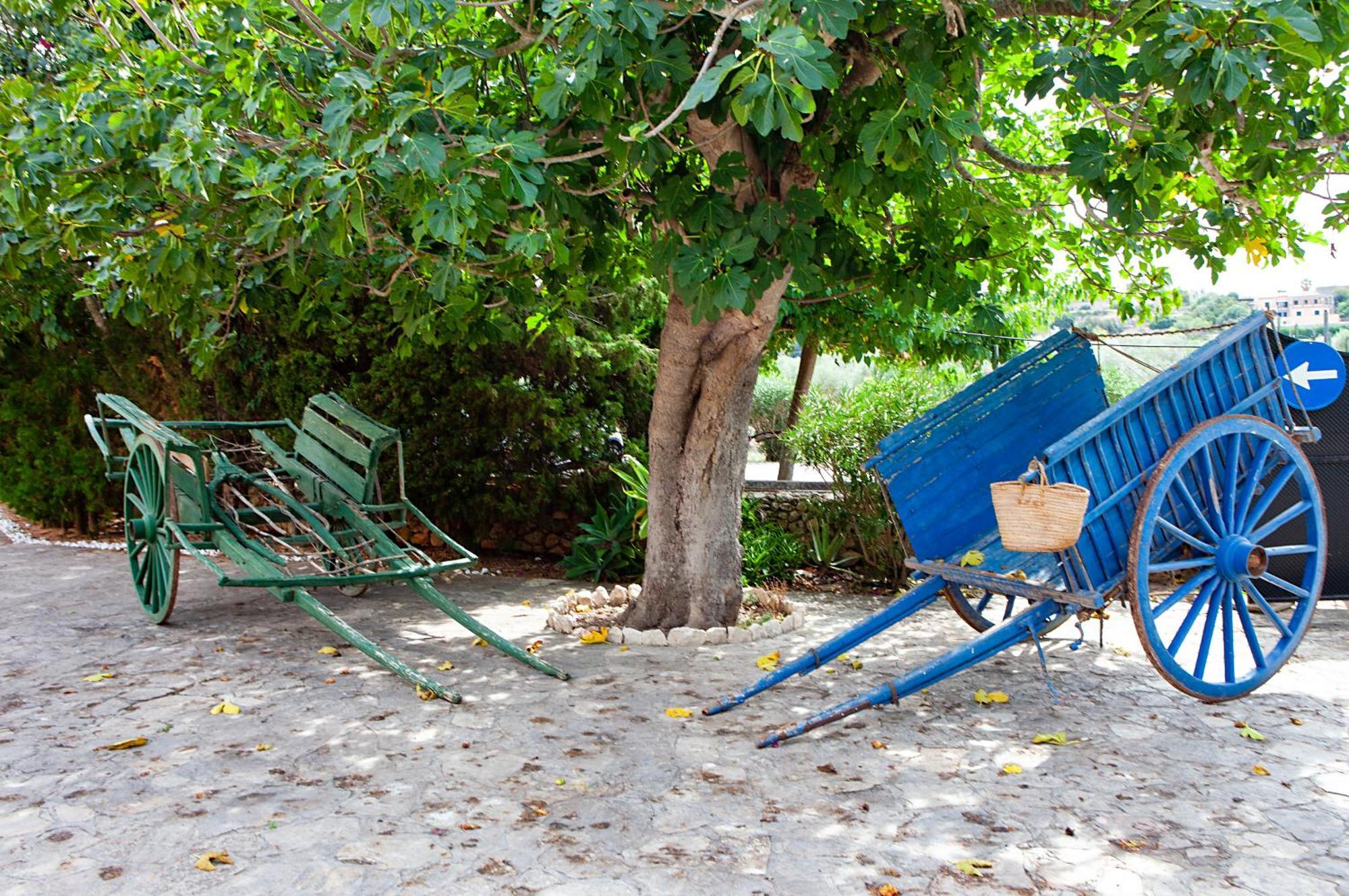 S'Hort De Son Caulelles - Adults Only Villa Marratxí Exteriör bild